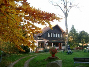 Отель Le Chalet  Мюльбак-Сюр-Мюнстер